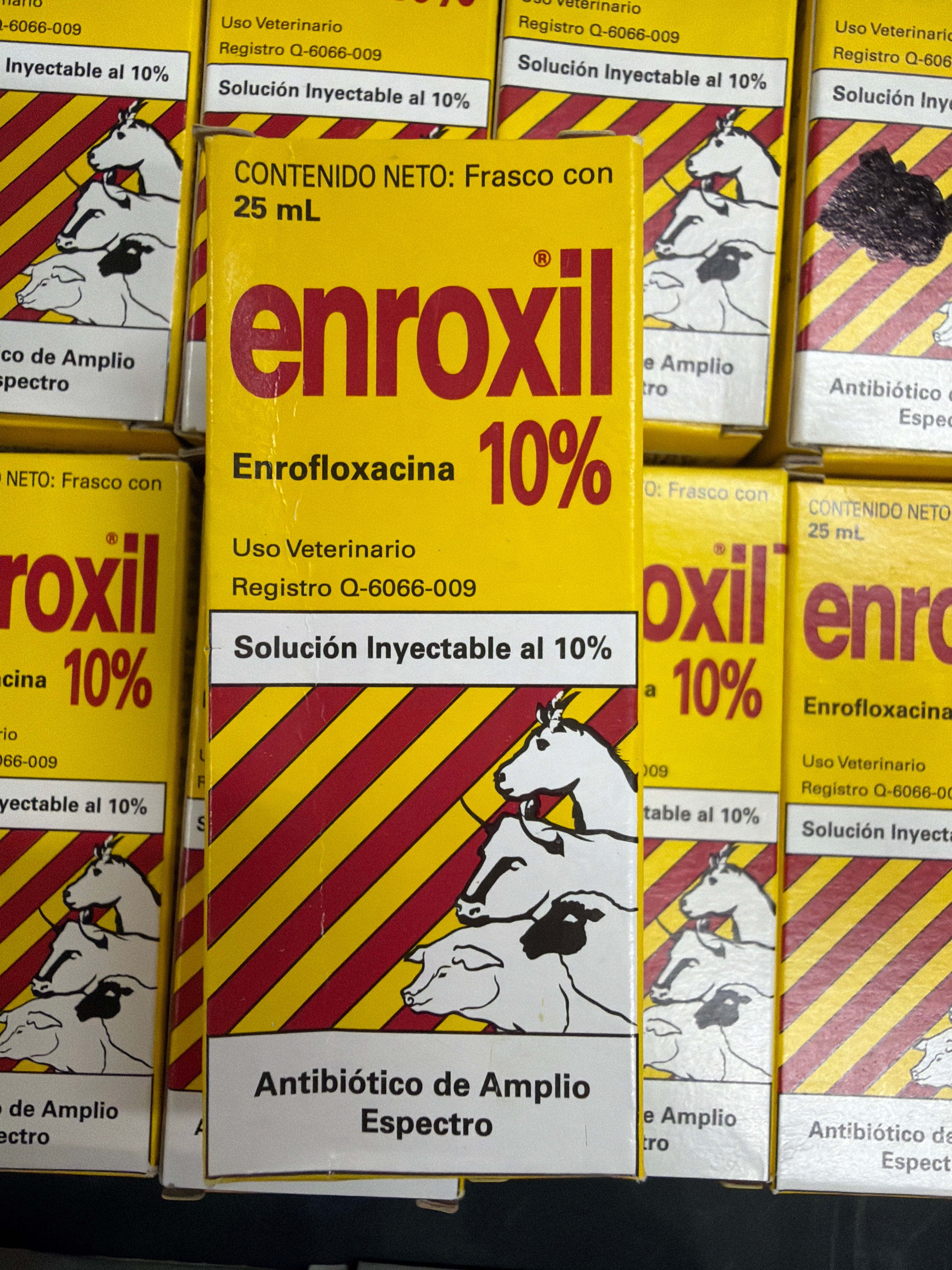Enroxil 10% (25ml)
